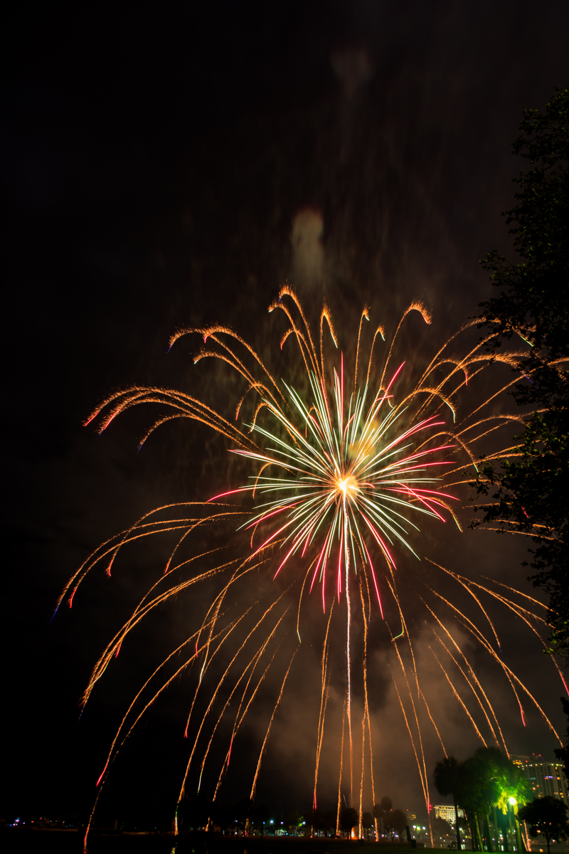 Illustration for article titled Happy New Year!